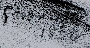 Jan Groenestein - Litho: paarden kopen? Bied vanaf 60!