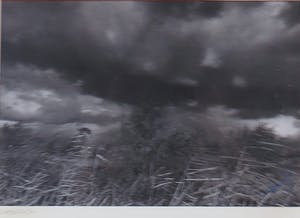 Jan van den Berg - Cees Nooteboom en onbekend - Boek Rollende stenen en foto Kinderdijk kopen? Bied vanaf 10!