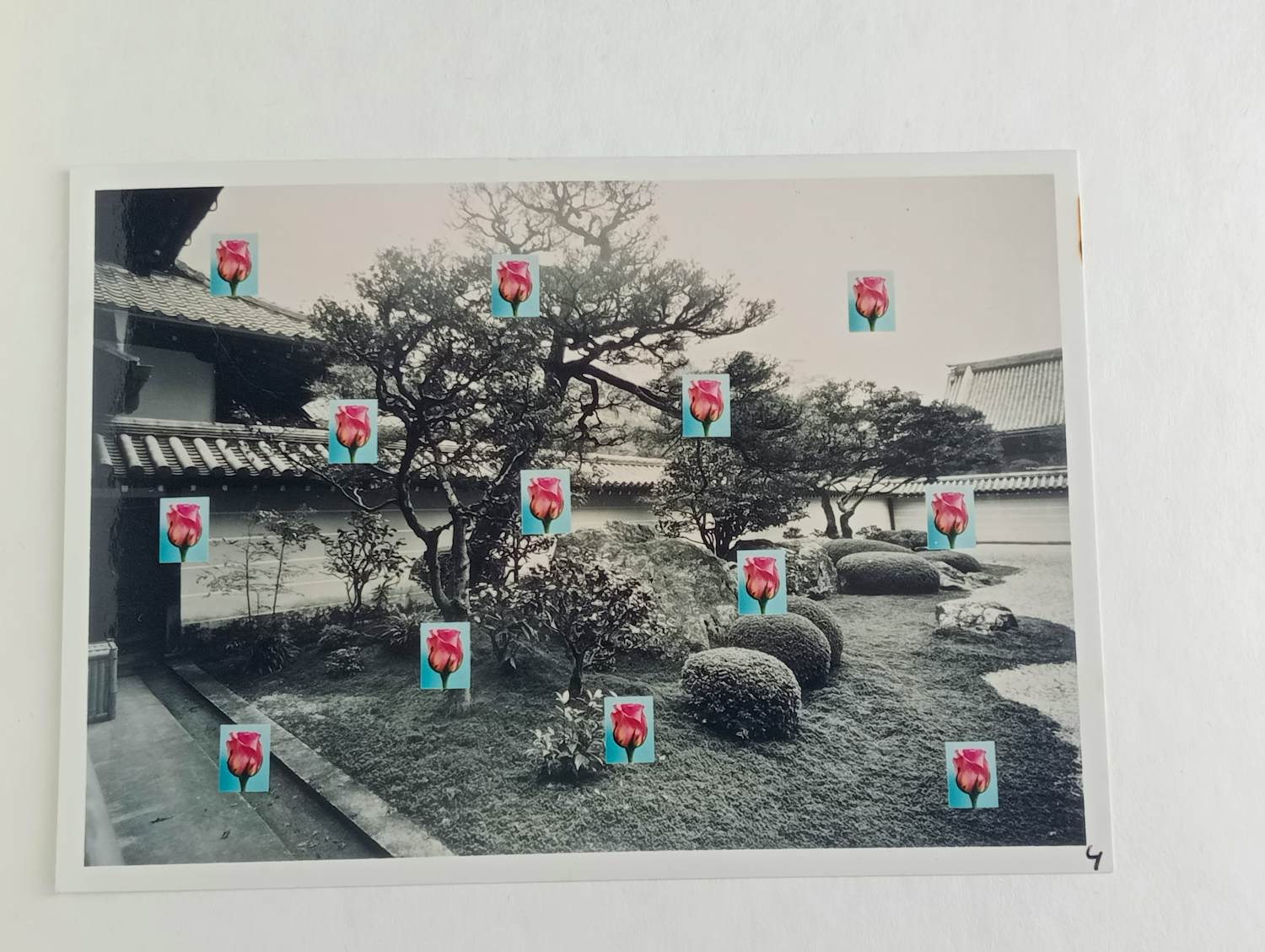 Jean Ruiter - The Kyoto Zen-Garden Project 1999 met 9 originele foto's kopen? Bied vanaf 75!