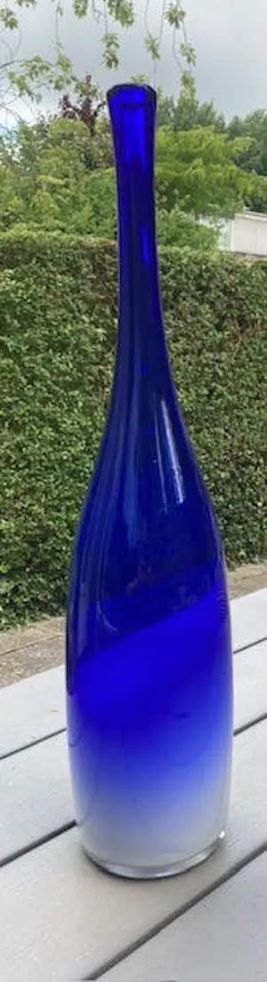 AcheterFloris Meydam - Hohe Glasflaschenvase? Enchérissez de 110!
