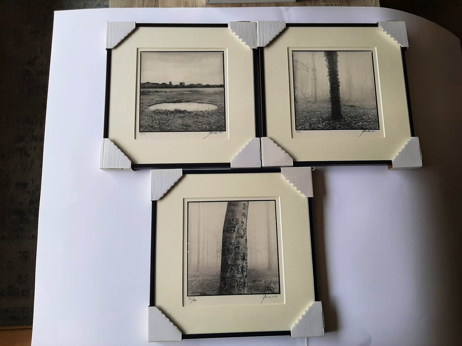 Ralph Janowski - 3 werken, van Ralph Janowski, Boom in de ochtend mist nieuw ingelijst kopen? Bied vanaf 100!