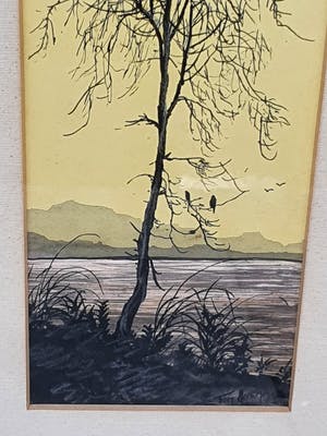 Tom Anema - Boom met vogels kopen? Bied vanaf 34!