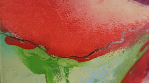 Tilly Wils - Papaver, tweeluik kopen? Bied vanaf 700!