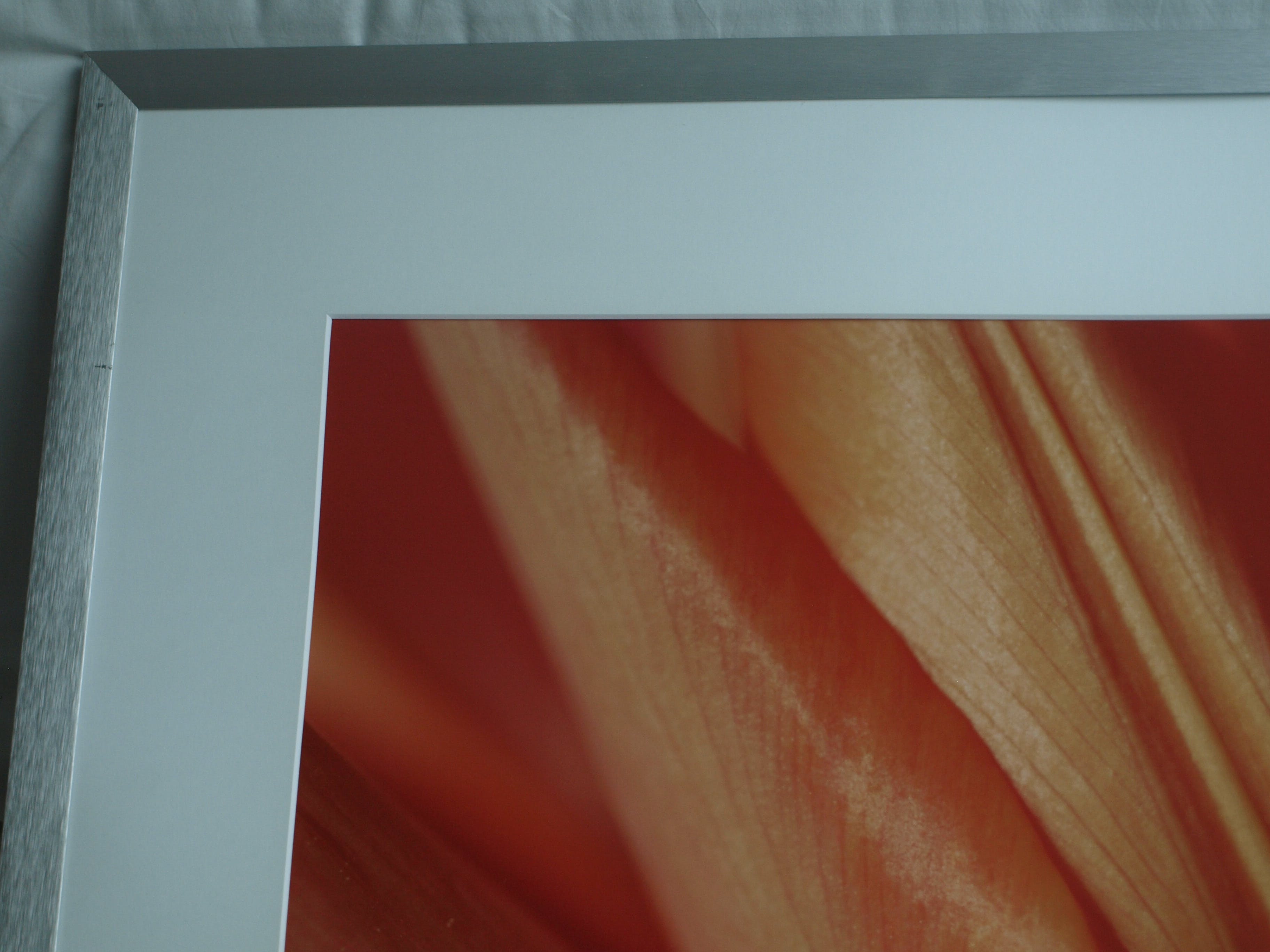 Niet of onleesbaar gesigneerd - Foto , Close-up – ingelijst  kopen? Bied vanaf 1!