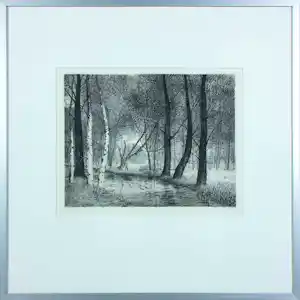 Reinder Homan - Ets, Berken aan een beekje - Ingelijst vendu pour 98€ !