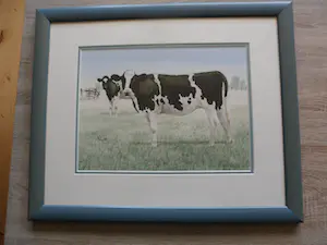 Wiebe A. van der Zee - Aquarel, Twee koeien op het land kopen? Bied vanaf 80!