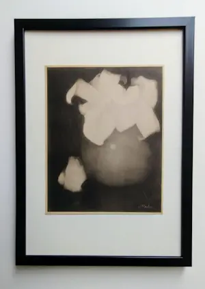 Jan Mankes - Aronskelken kopen? Bied vanaf 45!