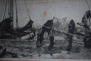 Jan Sirks - Paard op de kade kopen? Bied vanaf 40!