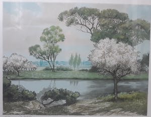 Roger Hebbelinck - De Kersbomen kopen? Bied vanaf 20!