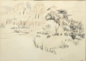 Bernard Koelman - Pen, De rand van het plateau van Hande kopen? Bied vanaf 1!