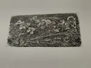 Dirk van Gelder - ets SPIN kopen? Bied vanaf 50!