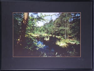 Paul Huf - Foto, Open plek in het woud van Fontainebleau - Ingelijst kopen? Bied vanaf 1!