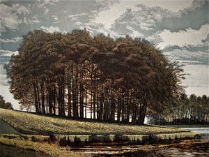 Graham Evernden - (Kent 1947-) Fascinerend realistisch Litho "High Water" gesigneerd kopen? Bied vanaf 20!