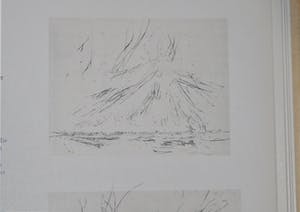 Willem den Ouden - In de uiterwaarden kopen? Bied vanaf 75!