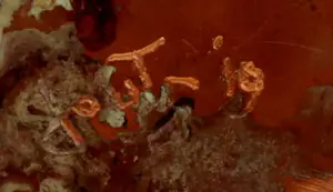 Hans Jouta - Bronzen sculptuur: twee zeepaardjes - 2019 kopen? Bied vanaf 699!