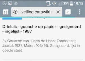 Jurjen de Haan - Drieluik kopen? Bied vanaf 375!