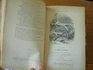 Antiquarisch Boek - Fables de La fontaine kopen? Bied vanaf 1!