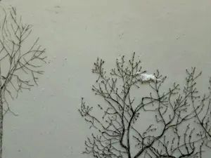 Charles Donker - Winterlandschap in Rhijnauwen kopen? Bied vanaf 120!