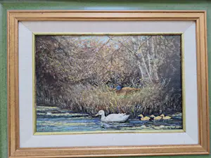 Gerardus Johannes Ernens - Eenden familie kopen? Bied vanaf 75!