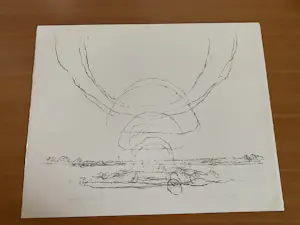 Willem den Ouden - Litho de Waal Tegenlicht nummer V/X 1991 kopen? Bied vanaf 79!