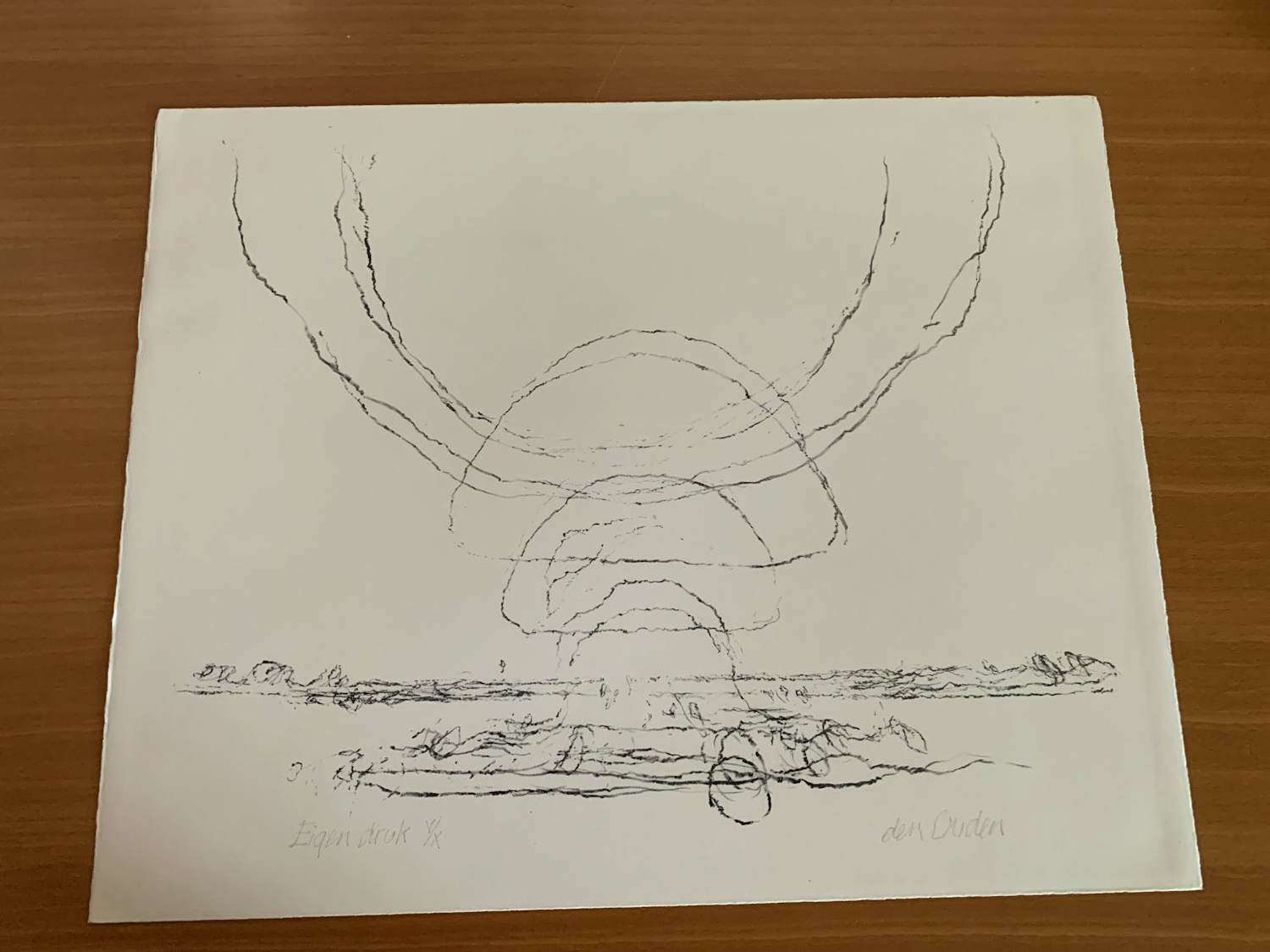 Willem den Ouden - Litho de Waal Tegenlicht nummer V/X 1991 verkocht voor € 79!