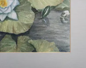 Wil Brunmayer-Schilt - waterlelies kopen? Bied vanaf 30!