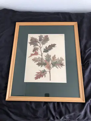 Gretha Pieck - studie van een eikenblad kopen? Bied vanaf 100!