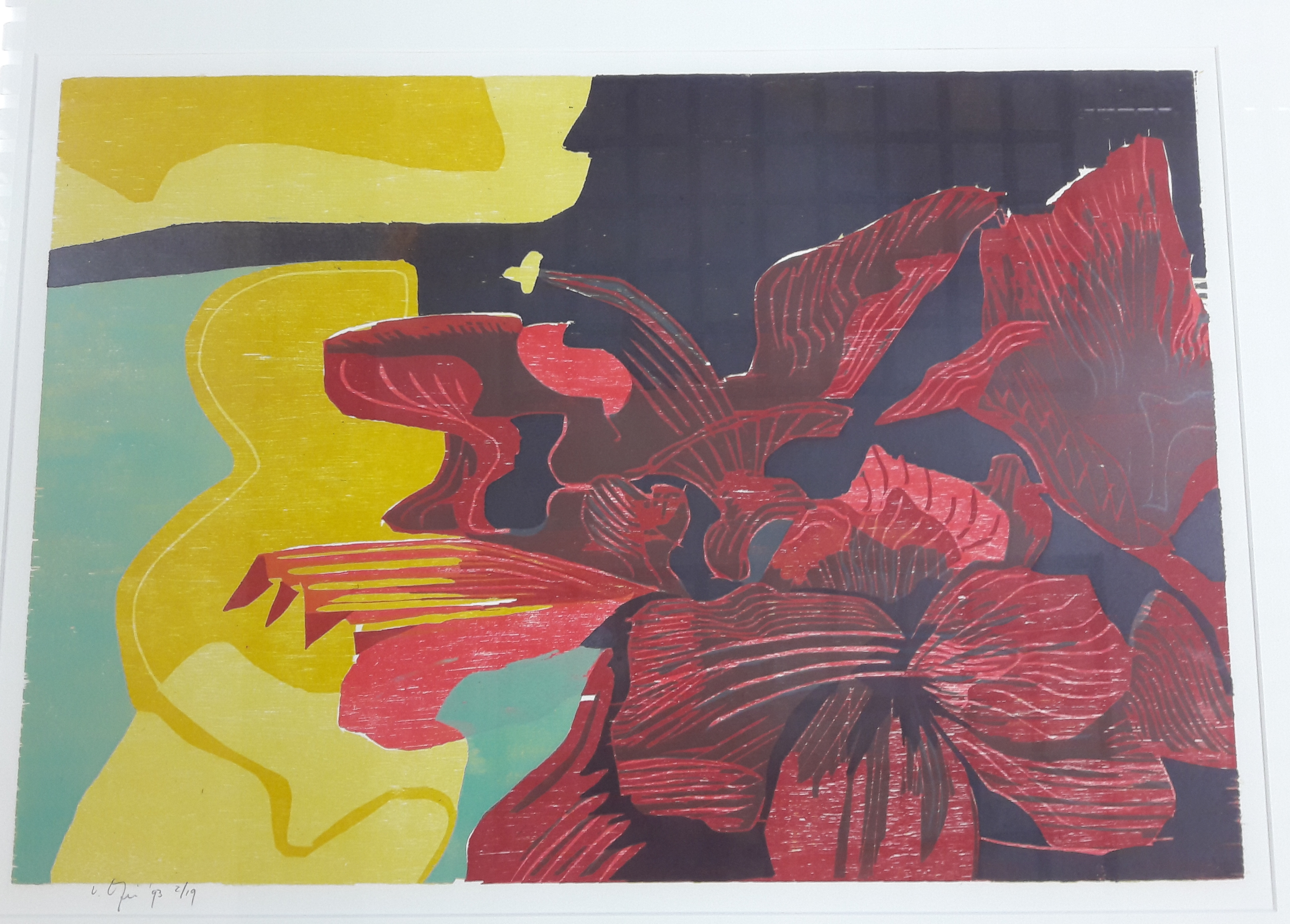 Vincent van Ojen - Amaryllis verkocht voor € 110!