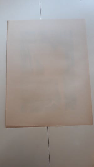 Nicolaas Wijnberg - Naakt kopen? Bied vanaf 20!