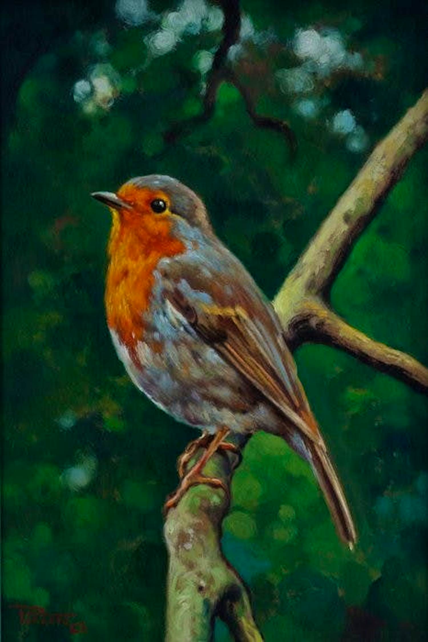 Giovanni Parlato - Pettirosso kopen? Bied vanaf 150!