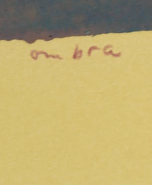 Marjan Jaspers - Linosnede op papier, La Selva Ombre kopen? Bied vanaf 35!