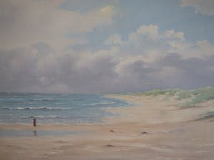 Jan Hopman - Zee-duingezicht kopen? Bied vanaf 80!