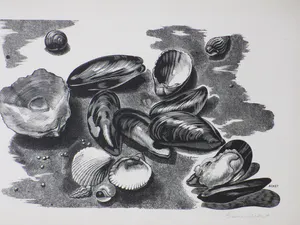 Désiré Acket - Schelpdieren - Gravure kopen? Bied vanaf 1!