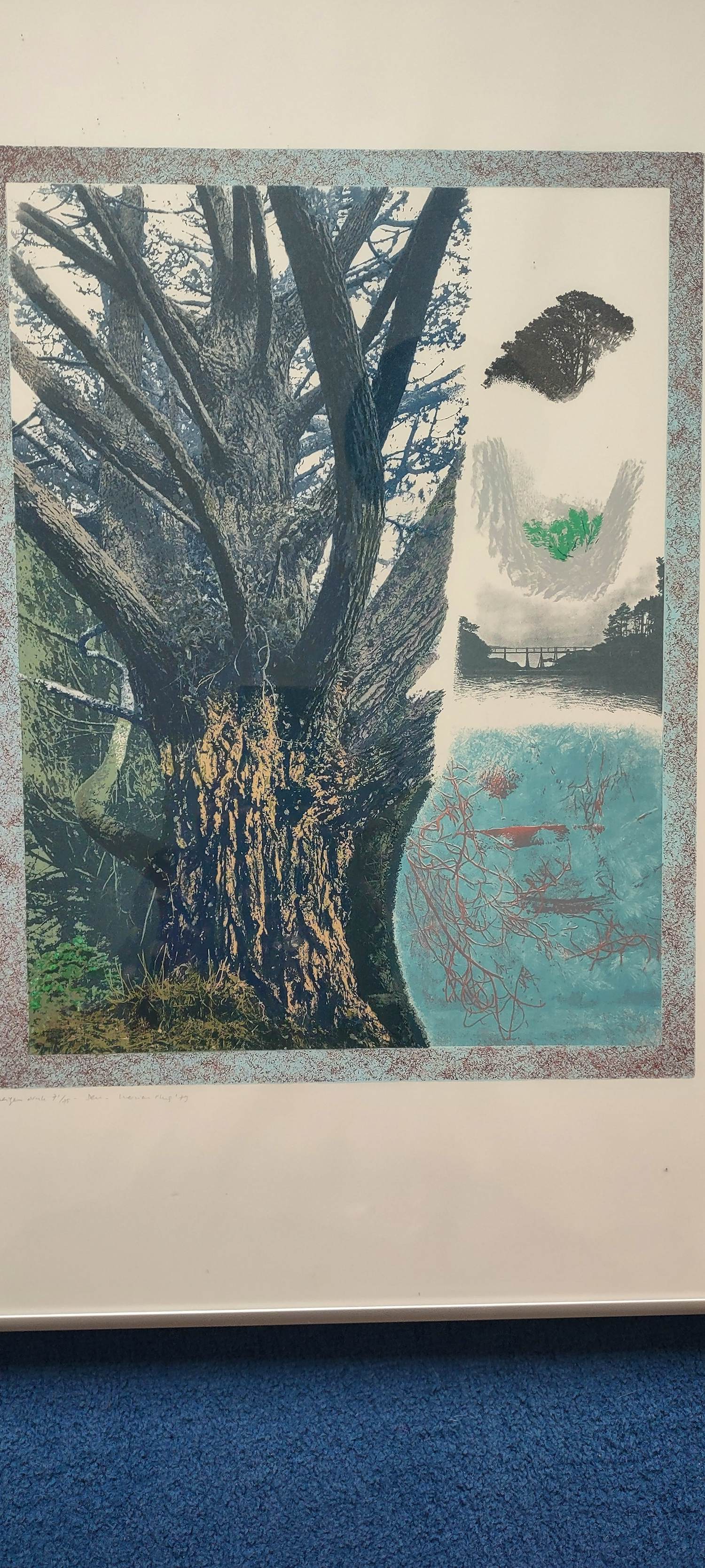 Marian Plug - Fraaie boom in bijzonder landschap kopen? Bied vanaf 75!