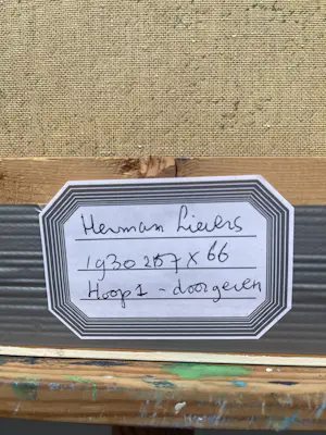 Herman Lievers - Hope ! kopen? Bied vanaf 20!