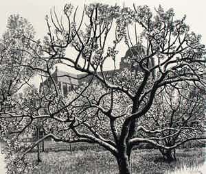 Dirk van Gelder - Houtgravure: Veere - 1952 verkocht voor € 49!