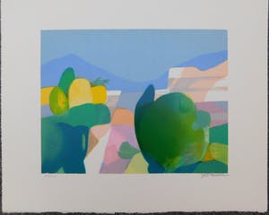 Freddy Defossez - Hauts de Mougins kopen? Bied vanaf 15!