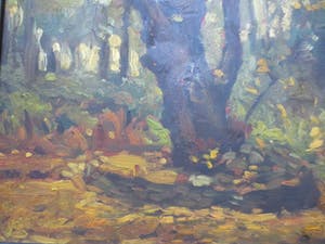 Cornelis Kievit - Dwarreling. kopen? Bied vanaf 100!