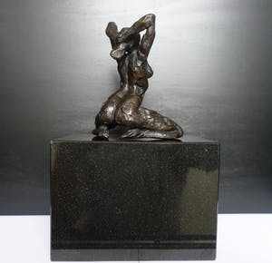 Natasja Bennink - Schitterend erotisch naakt. kopen? Bied vanaf 475!