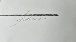 Hedwig Pauwels - Lente kopen? Bied vanaf 20!