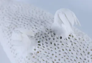 Kathja Smits - Porselein, Ratje kopen? Bied vanaf 100!