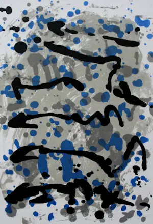 Jef Diederen - Serie van 6 litho's - 1994 kopen? Bied vanaf 125!