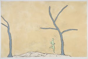Marc Kuyper - Kleurenets, Jump and tree kopen? Bied vanaf 1!