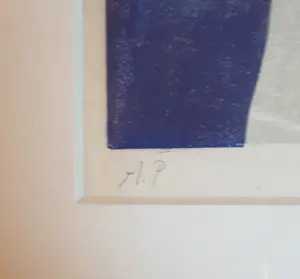 Nicole Montagne - Frida Kahlo kopen? Bied vanaf 140!