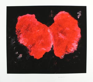 Armando - Kleurengiclee FLUGEL SLECHTS 30 EX!! kopen? Bied vanaf 169!