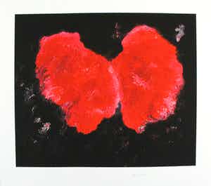 Armando - Kleurengiclee FLUGEL SLECHTS 30 EX!! verkocht voor € 169!