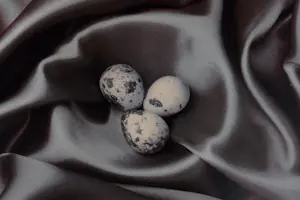 Dominic Rouse - Nest Eggs (2011) - GRATIS VERZENDING kopen? Bied vanaf 70!