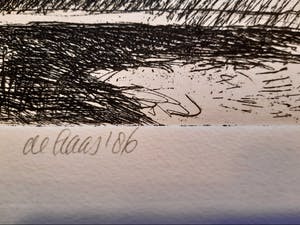 Toon de Haas - de Schorren - Texel 34/35 kopen? Bied vanaf 15!
