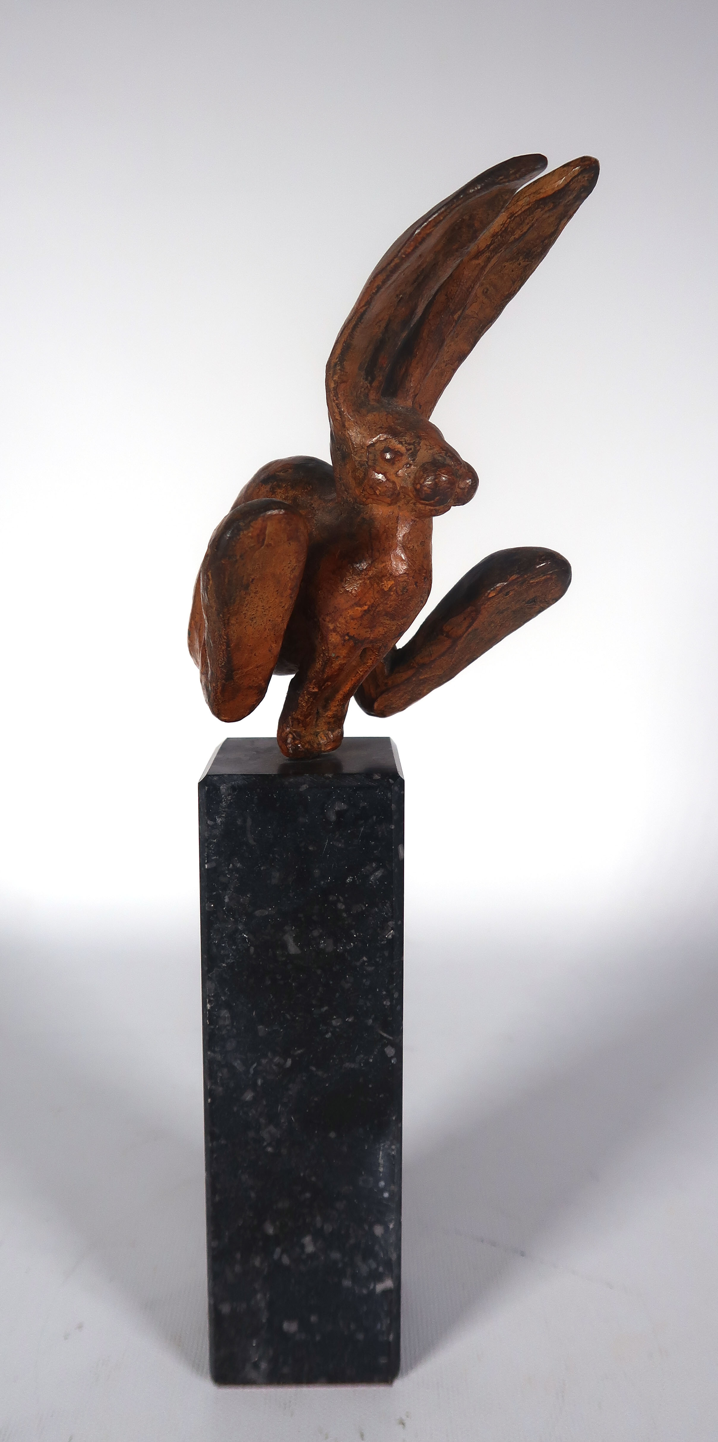 Mohana van den Kroonenberg - Brons en graniet, Haas op sokkel kopen? Bied vanaf 150!