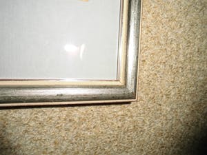 Cornelia Hioolen - Potloodtekening - Apollo kopen? Bied vanaf 50!